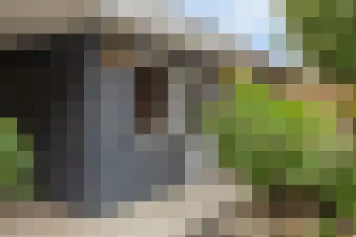 Molenstraat 129 Oss thumbnail 34