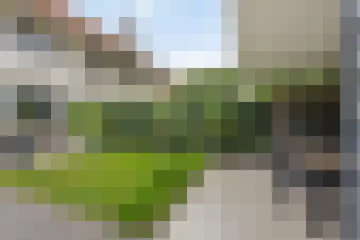 Molenstraat 129 Oss thumbnail 36