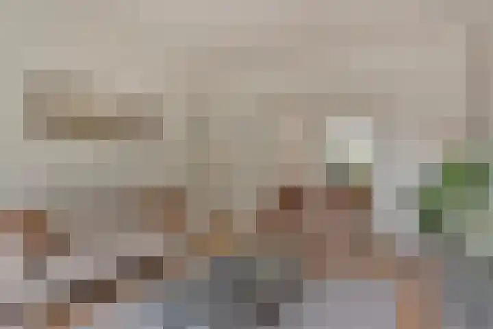 Molenstraat 129 Oss thumbnail 5