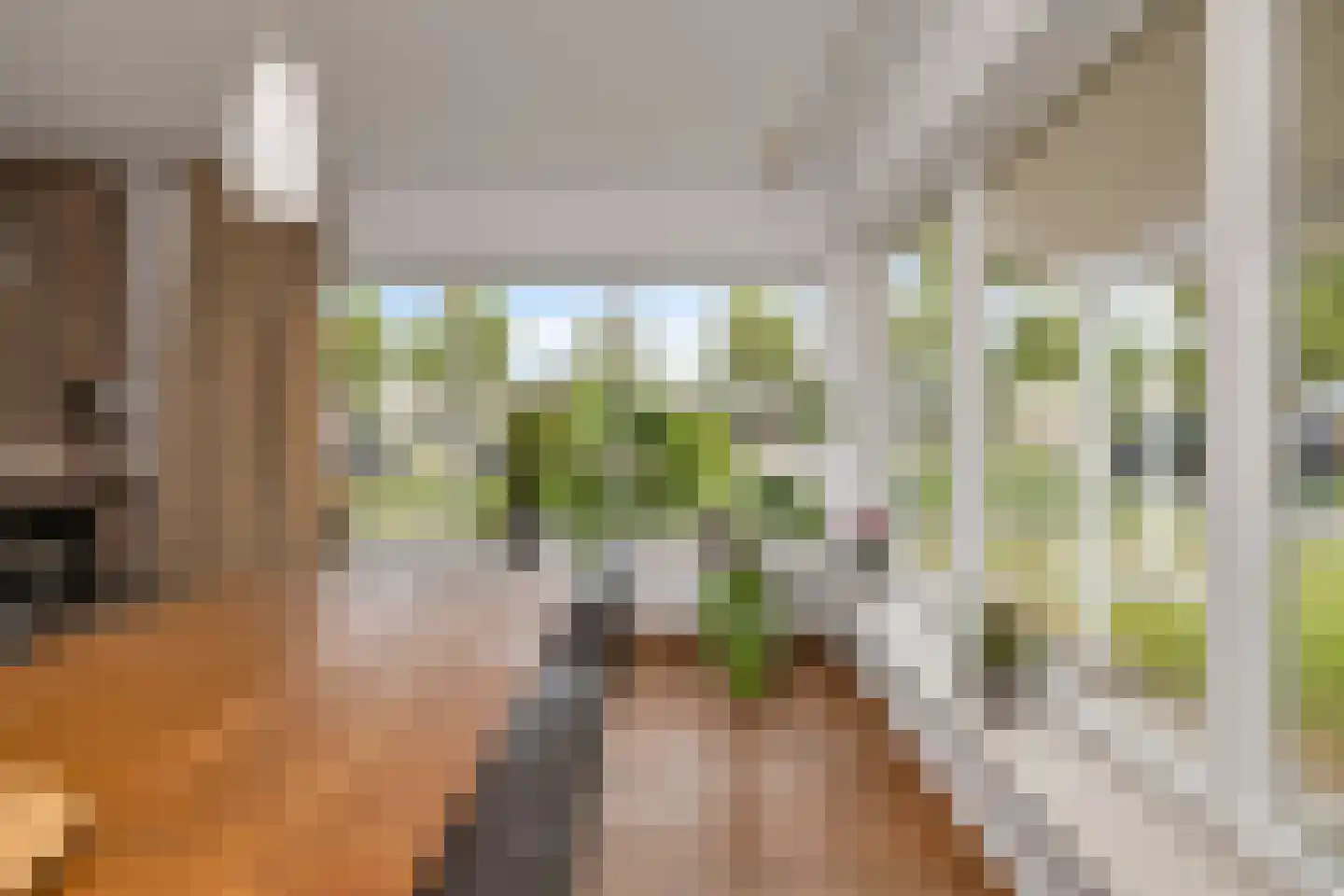 Molenstraat 13 Den Oever thumbnail 15