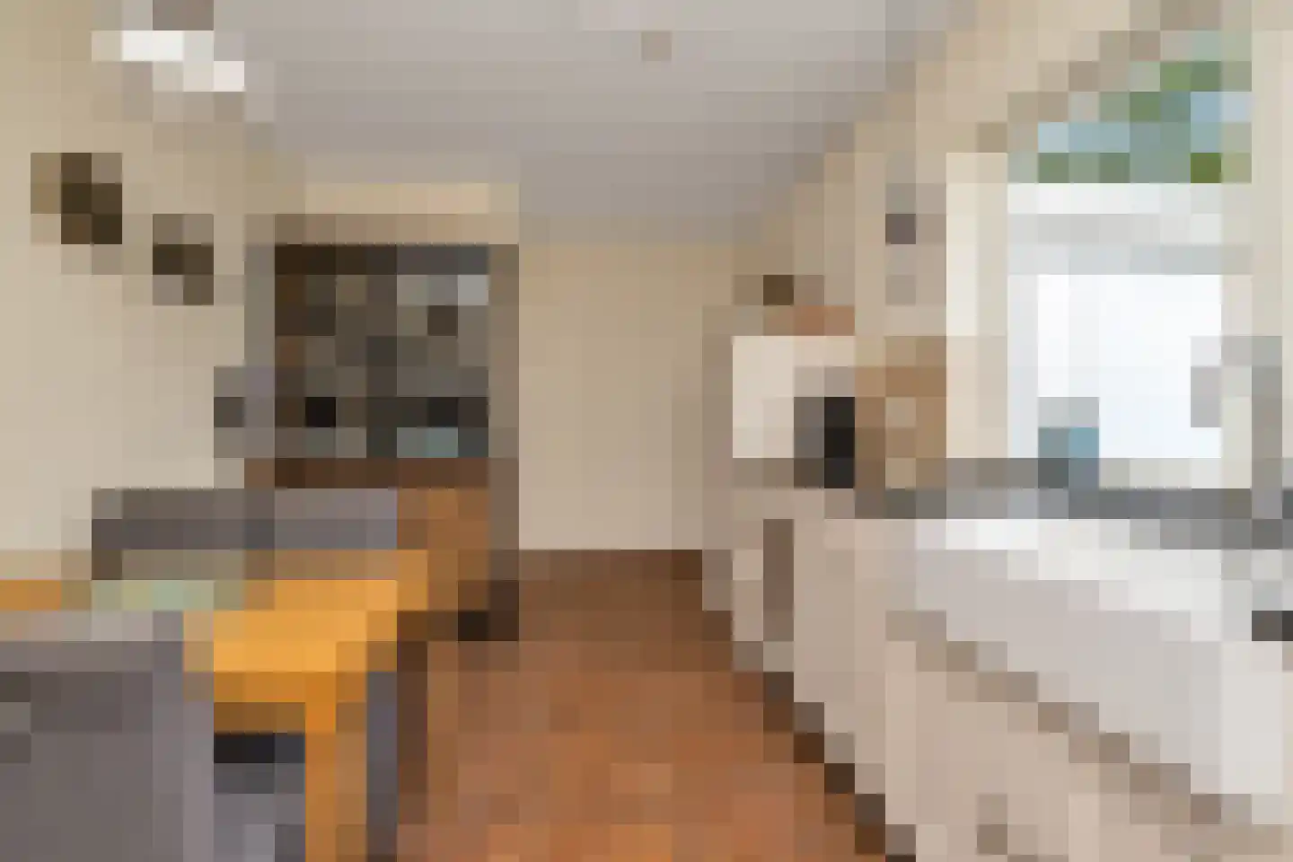 Molenstraat 13 Den Oever thumbnail 16