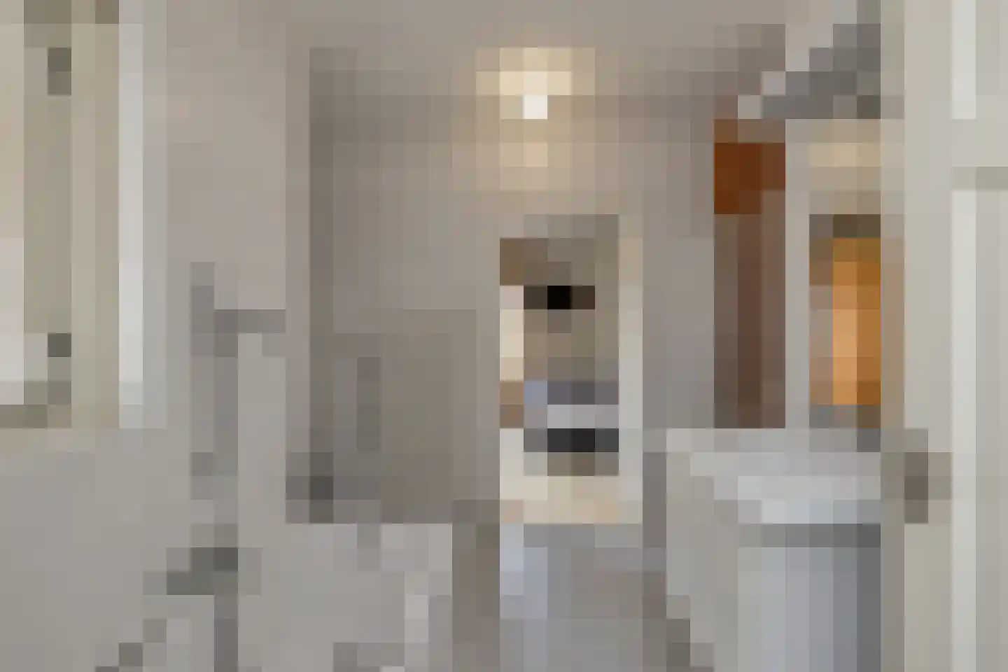 Molenstraat 13 Den Oever thumbnail 21