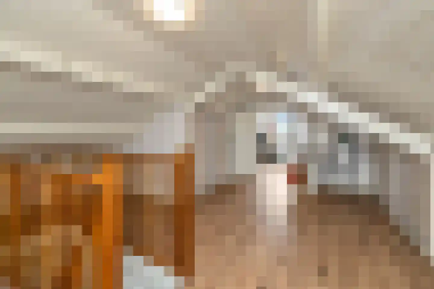 Molenstraat 13 Den Oever thumbnail 30