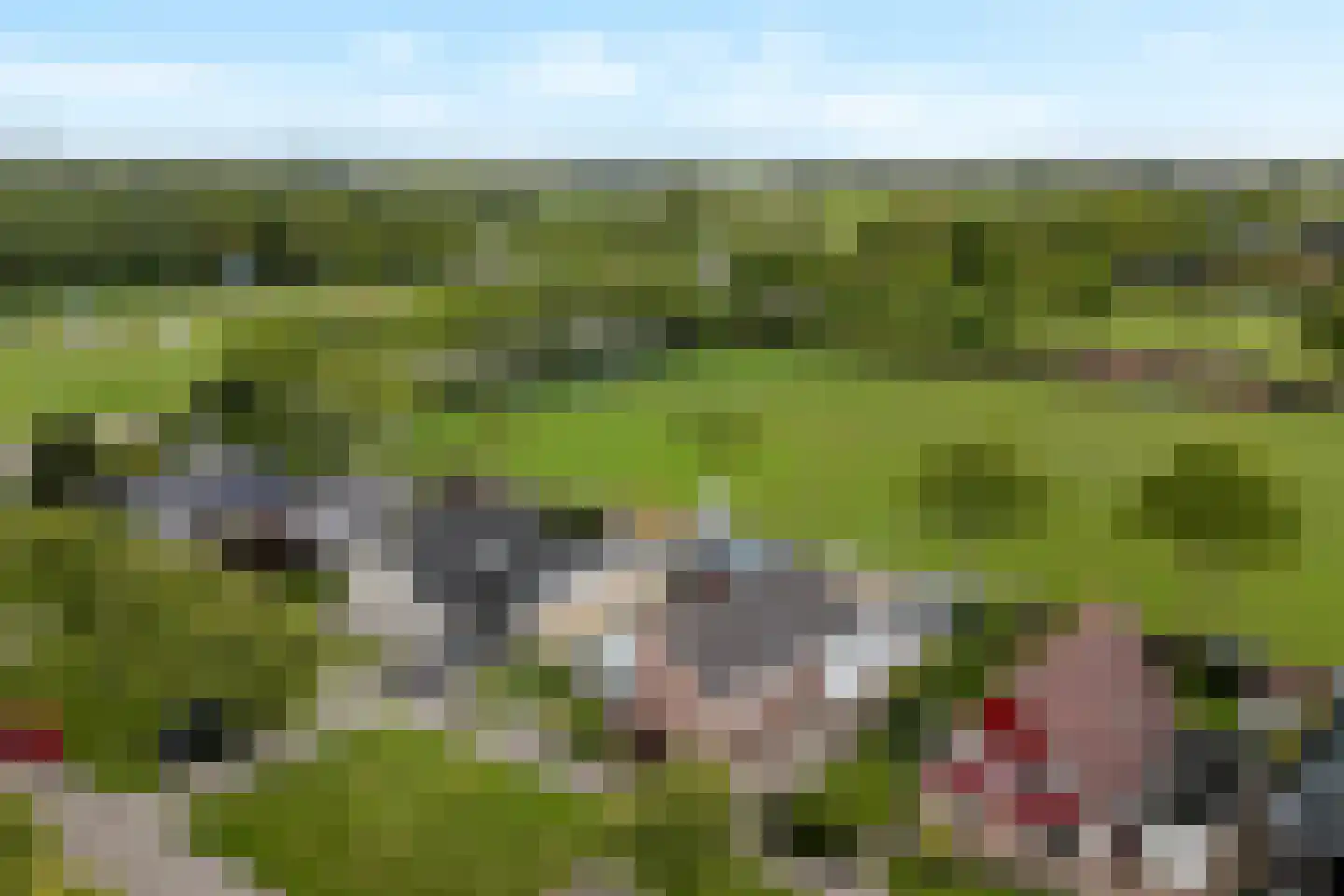 Molenstraat 13 Den Oever thumbnail 41