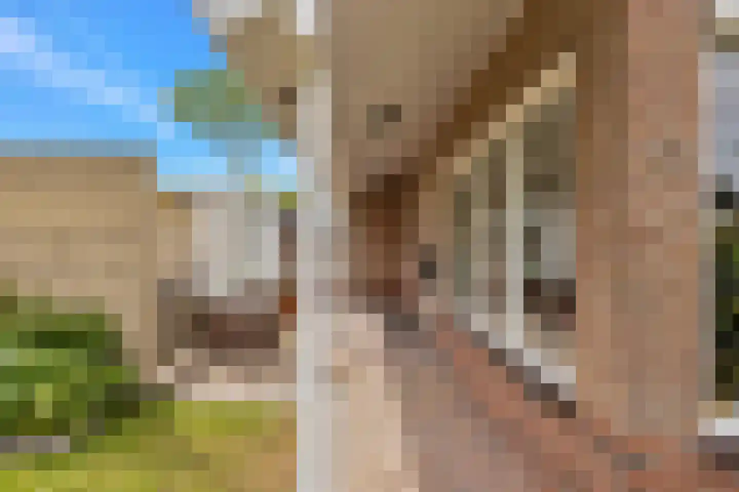 Molenstraat 13 Den Oever thumbnail 7