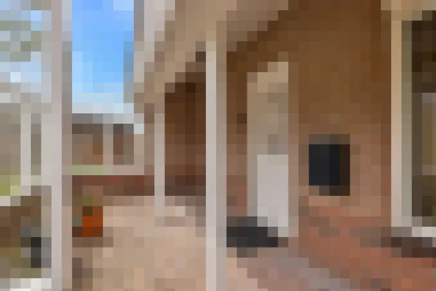 Molenstraat 13 Den Oever thumbnail 8