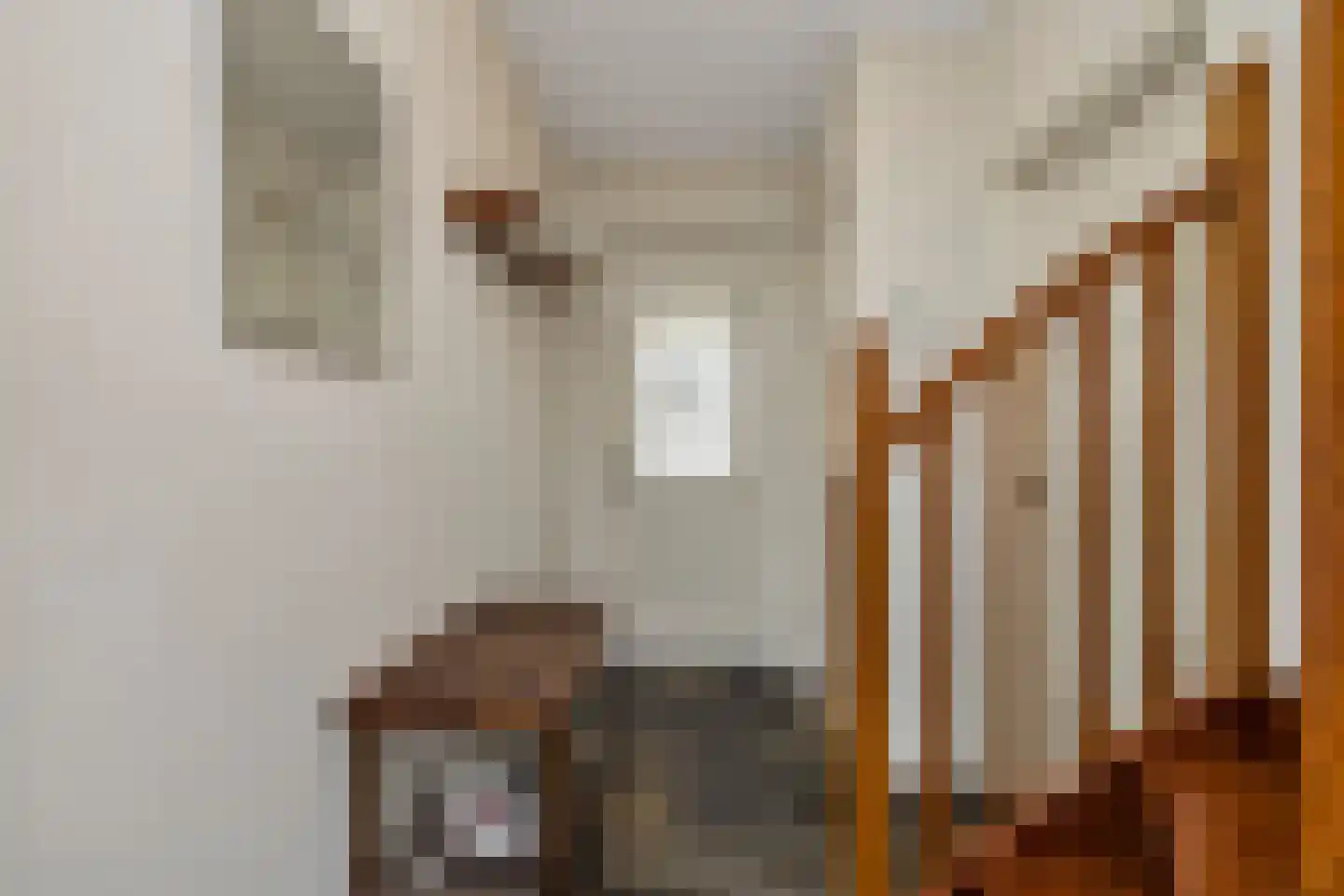 Molenstraat 13 Den Oever thumbnail 9