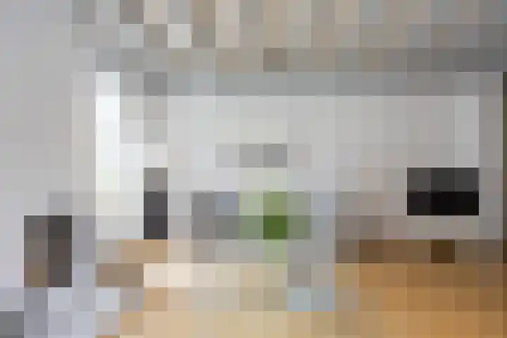 Molenstraat 13 Eenrum thumbnail 11