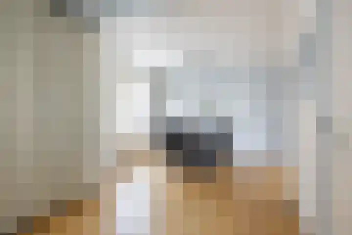 Molenstraat 13 Eenrum thumbnail 12