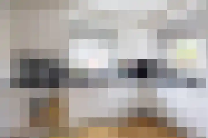 Molenstraat 13 Eenrum thumbnail 16