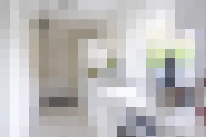 Molenstraat 13 Eenrum thumbnail 18