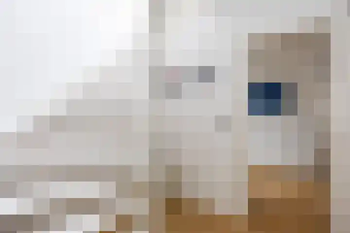 Molenstraat 13 Eenrum thumbnail 20