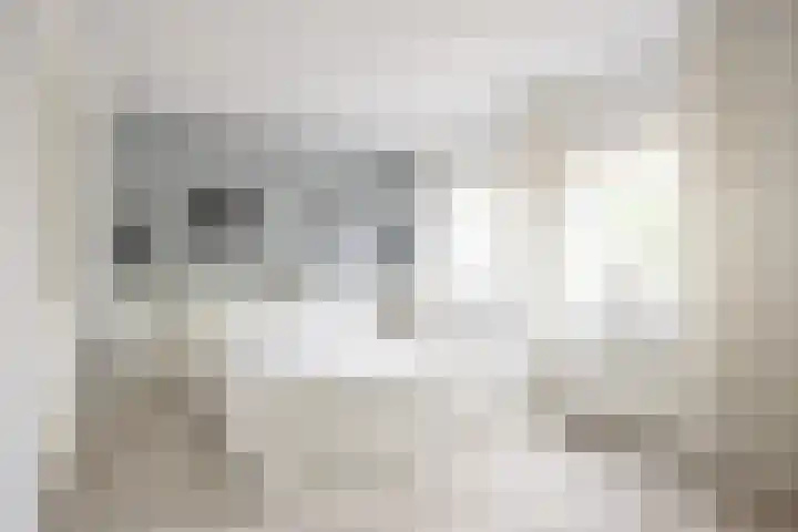 Molenstraat 13 Eenrum thumbnail 23