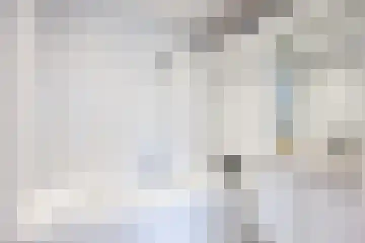 Molenstraat 13 Eenrum thumbnail 25