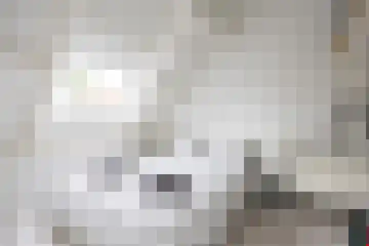 Molenstraat 13 Eenrum thumbnail 28