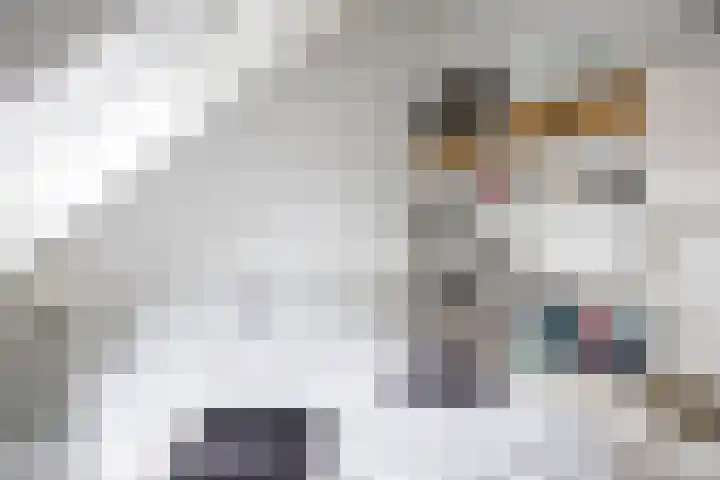 Molenstraat 13 Eenrum thumbnail 29