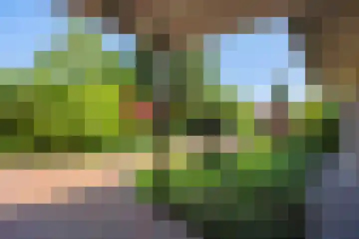 Molenstraat 13 Eenrum thumbnail 41