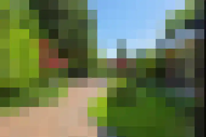 Molenstraat 13 Eenrum thumbnail 42
