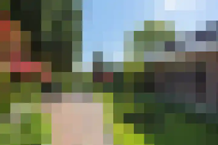 Molenstraat 13 Eenrum thumbnail 44