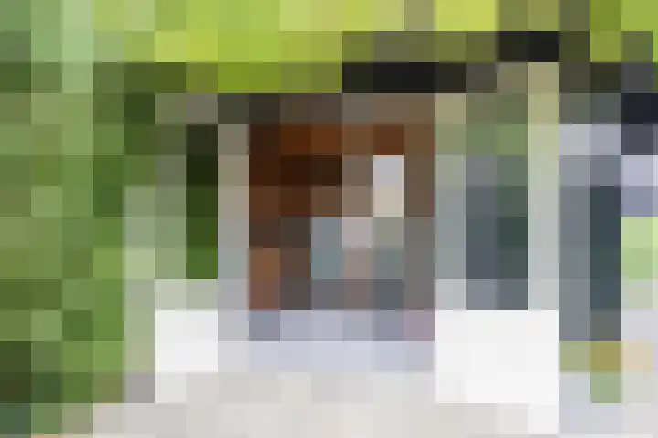 Molenstraat 13 Eenrum thumbnail 48