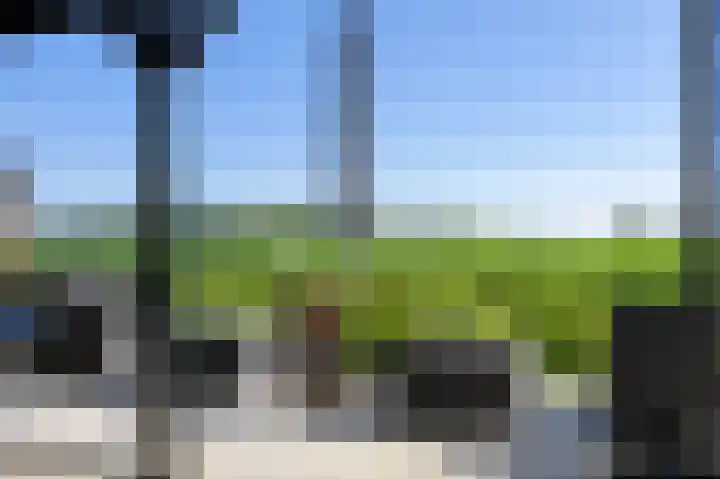 Molenstraat 13 Eenrum thumbnail 51