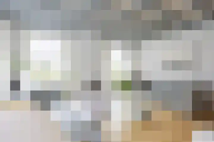 Molenstraat 13 Eenrum thumbnail 8