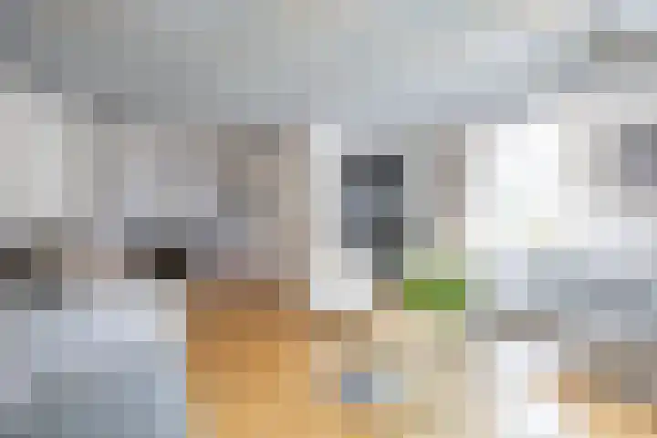 Molenstraat 13 Eenrum thumbnail 9