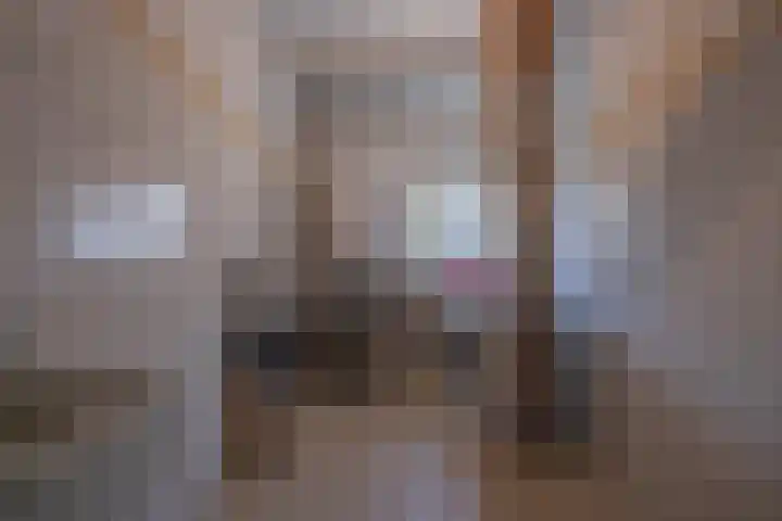 Molenstraat 13 Helvoirt thumbnail 21