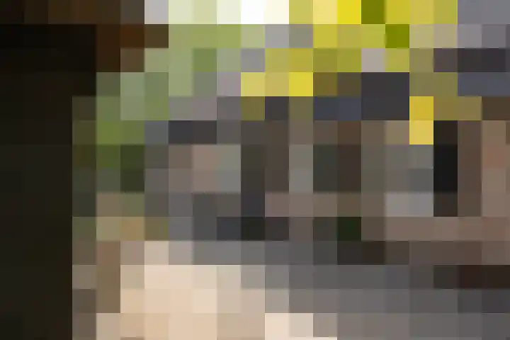 Molenstraat 13 Helvoirt thumbnail 33