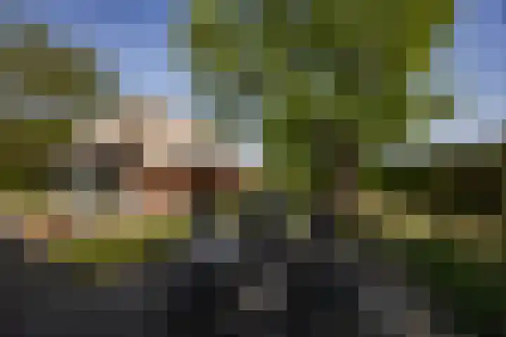 Molenstraat 13 Helvoirt thumbnail 37