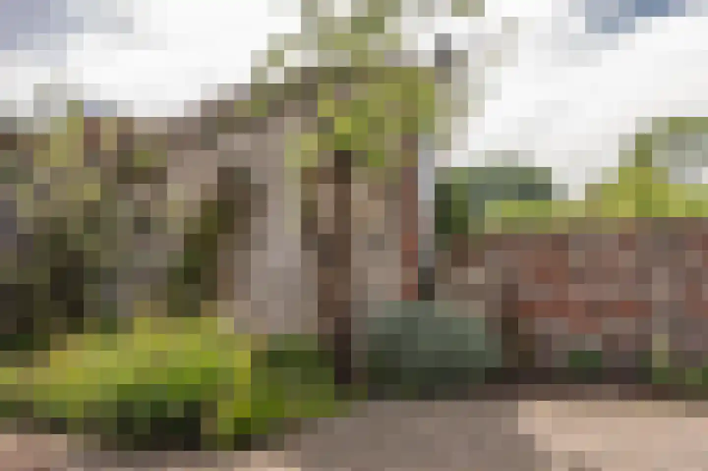 Molenstraat 13 Montfoort thumbnail 38