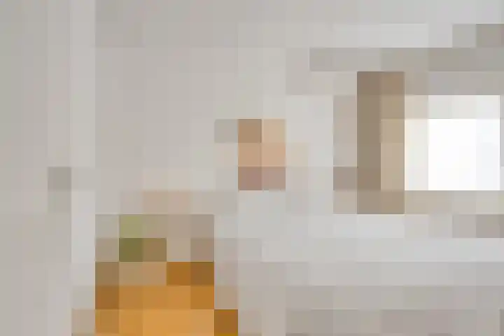 Molenstraat 13 Someren thumbnail 20
