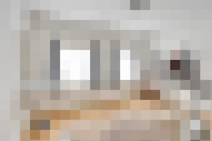 Molenstraat 13 Someren thumbnail 26