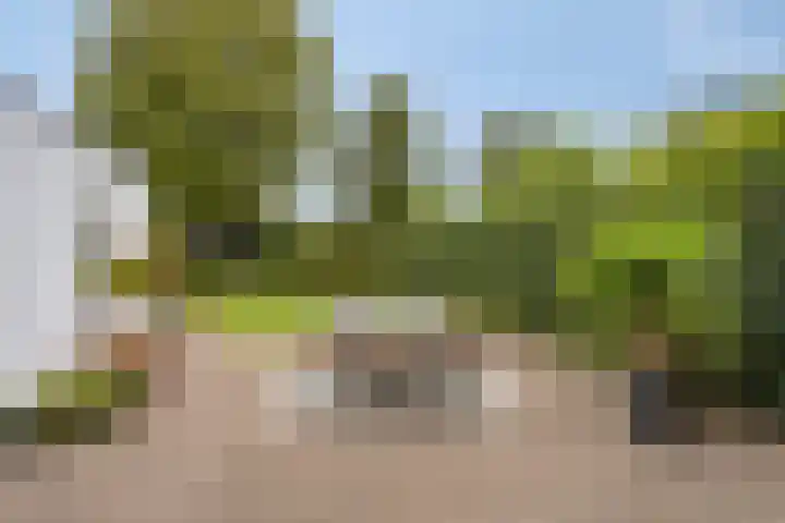 Molenstraat 13 Someren thumbnail 36