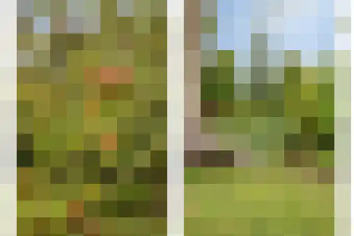 Molenstraat 13 Someren thumbnail 39