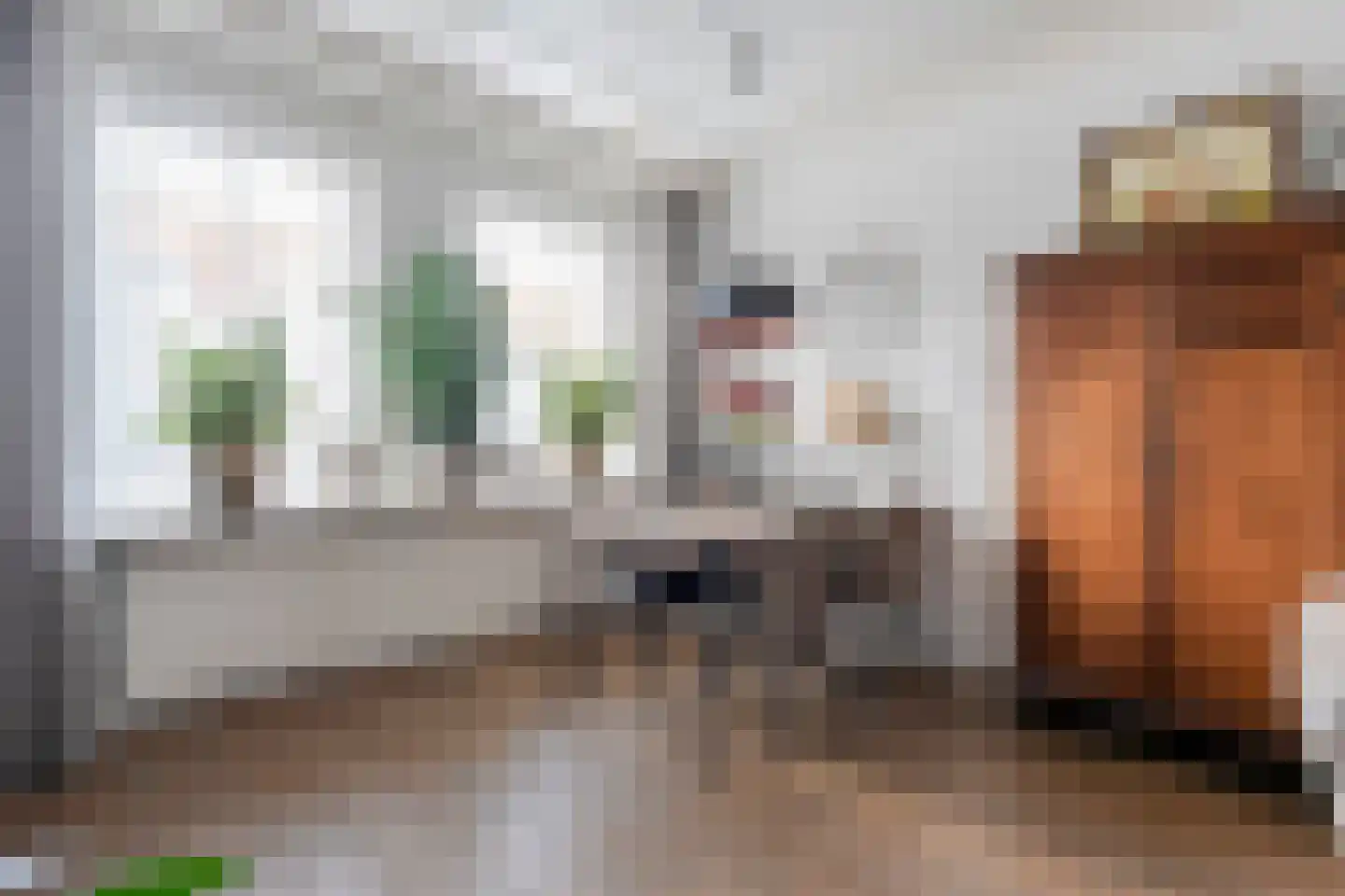 Molenstraat 13 Vriezenveen thumbnail 12