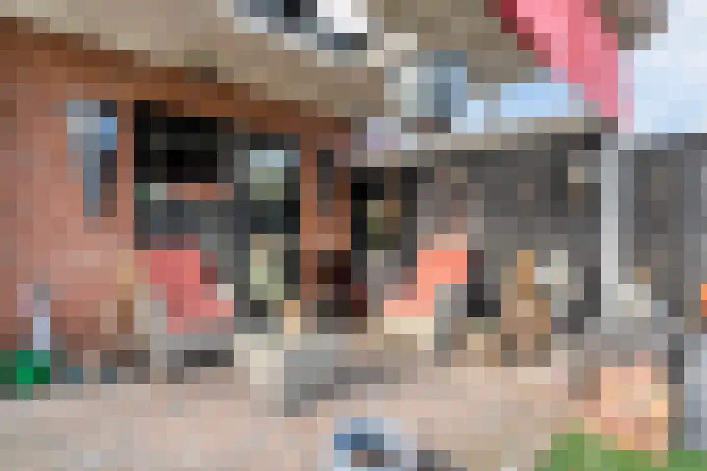 Molenstraat 13 Vriezenveen thumbnail 35