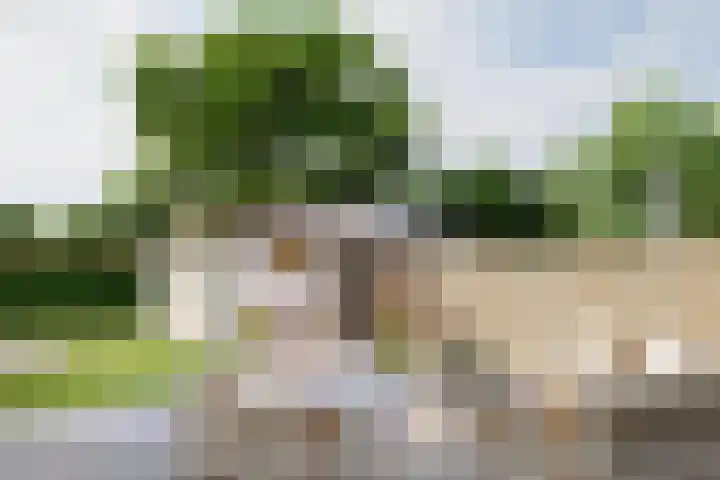 Molenstraat 13 Zoetermeer thumbnail 25