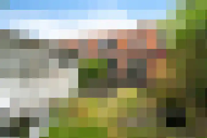 Molenstraat 13 Zoetermeer thumbnail 26