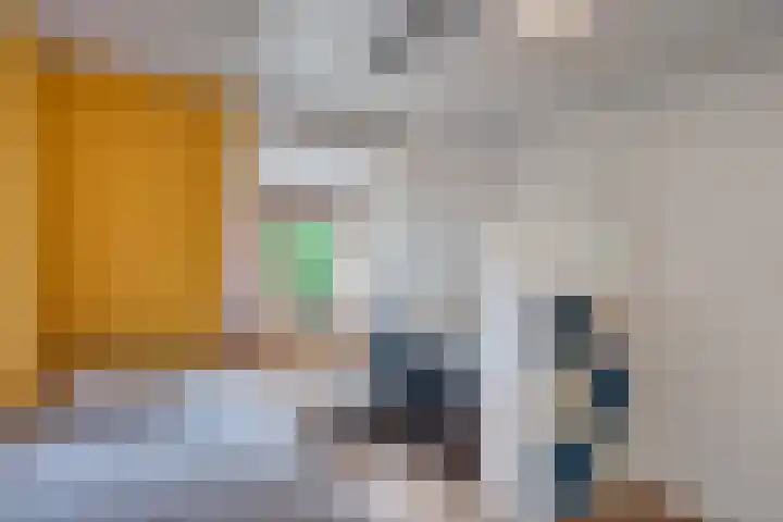 Molenstraat 13 Zoetermeer thumbnail 38