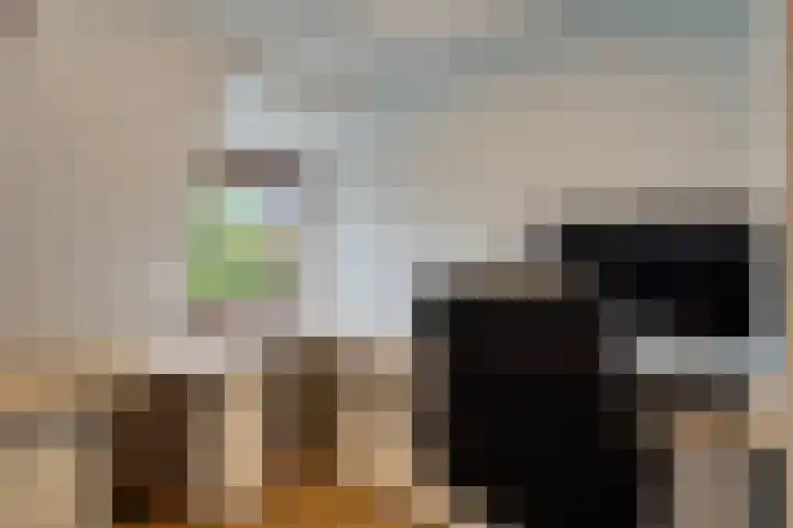 Molenstraat 13 Zoetermeer thumbnail 41