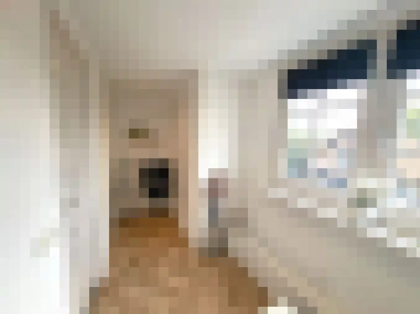 Molenstraat 136 Soest thumbnail 21