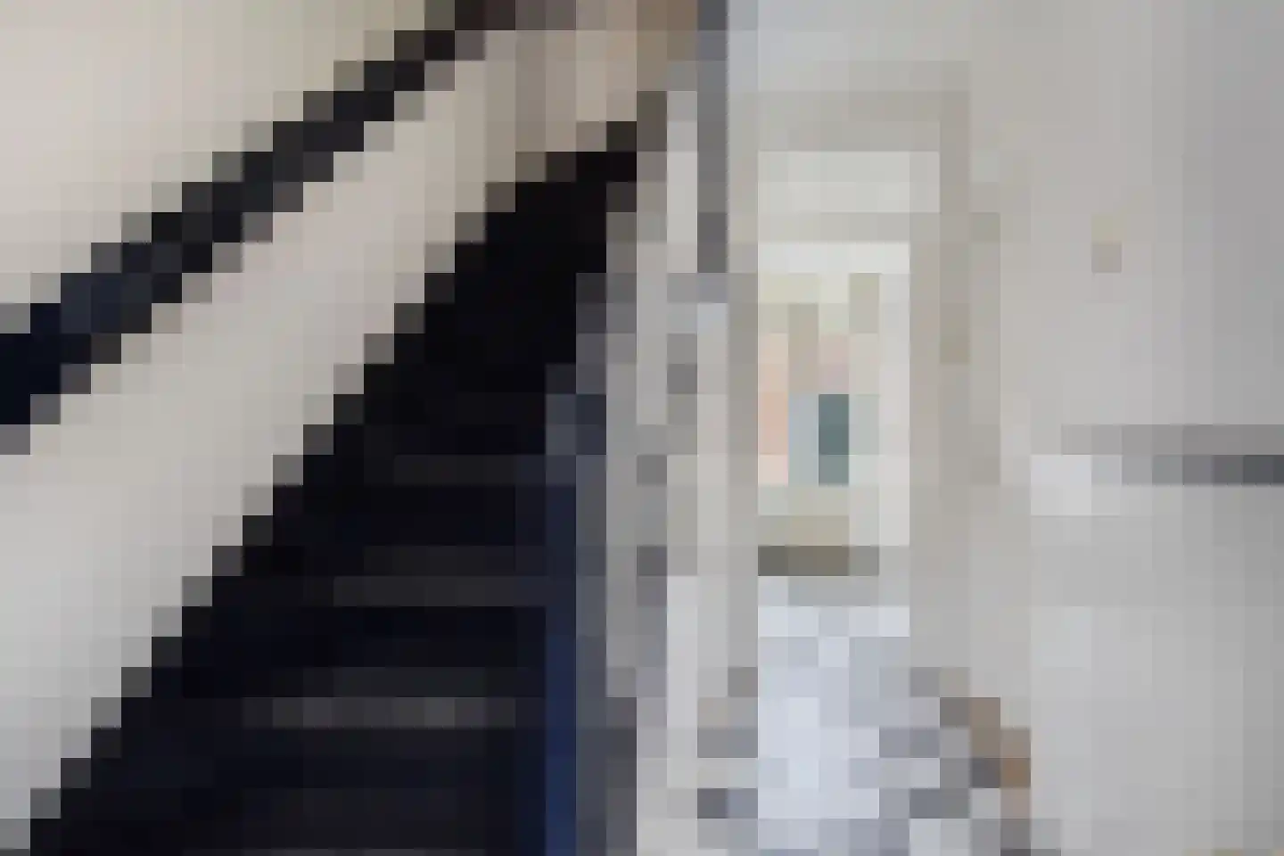 Molenstraat 138 Zoetermeer thumbnail 6