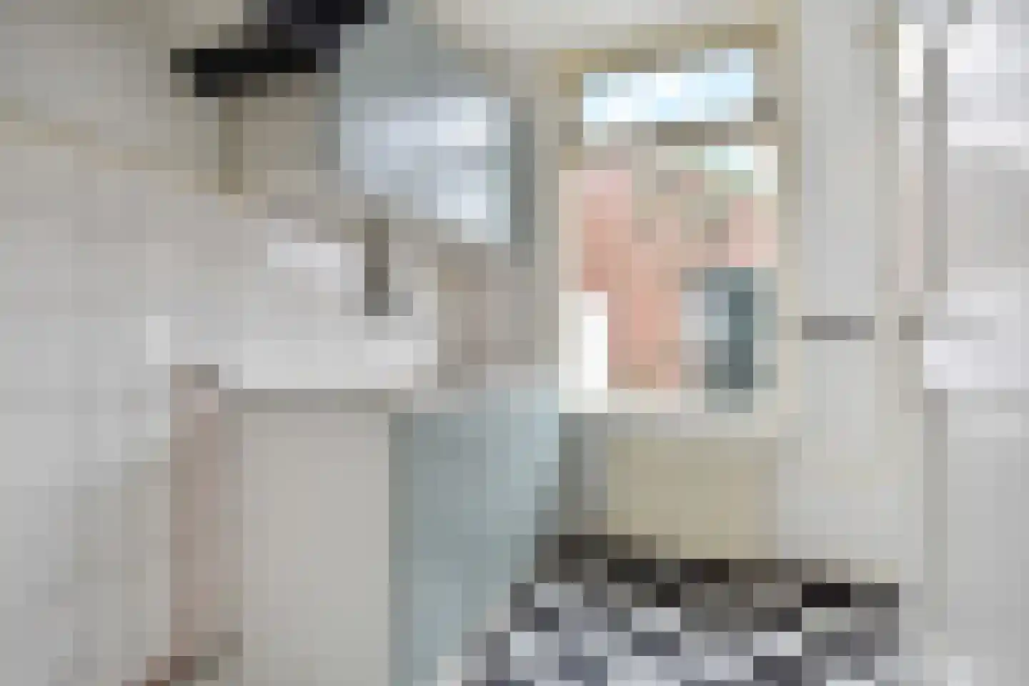 Molenstraat 138 Zoetermeer thumbnail 7
