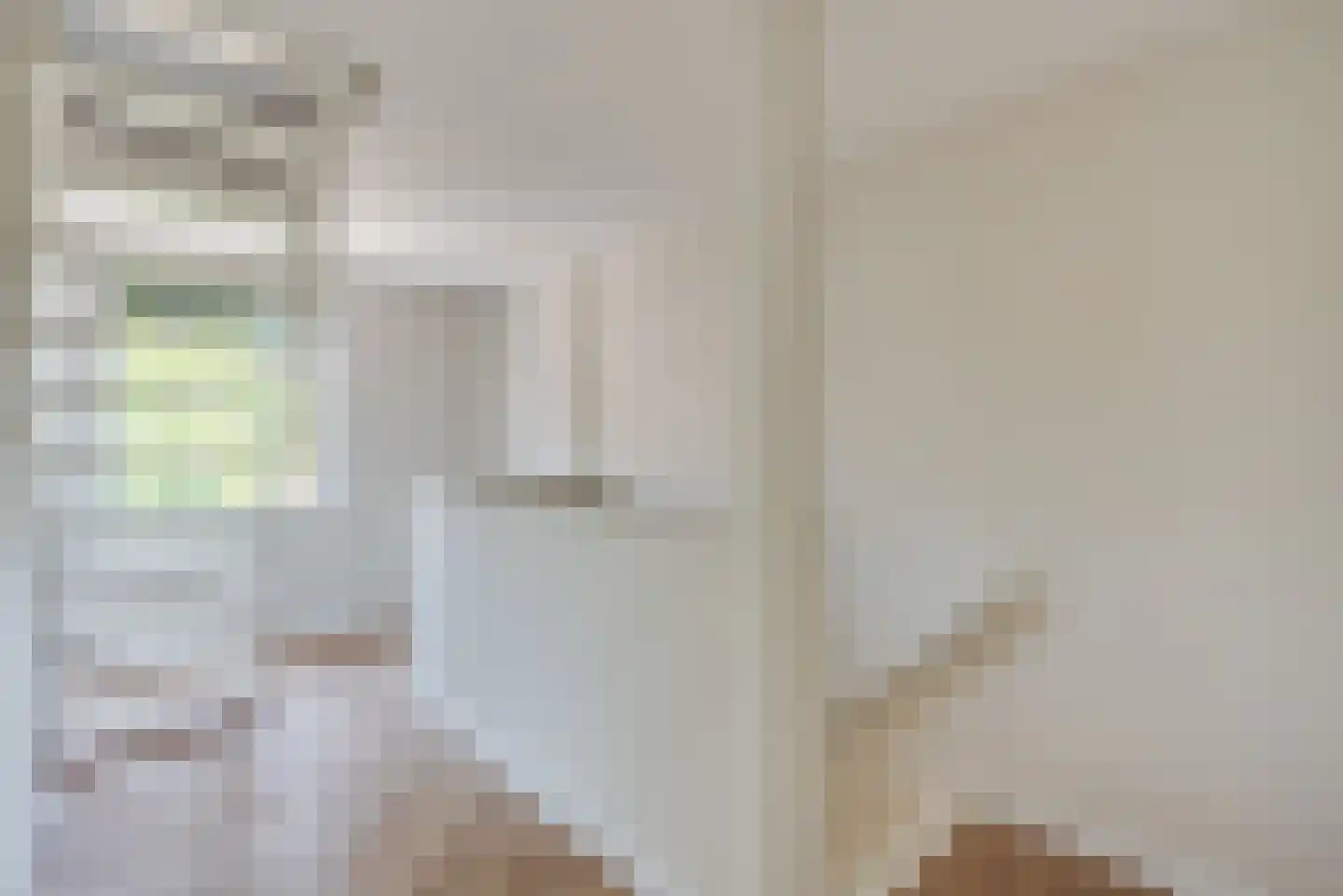 Molenstraat 14 Amerongen thumbnail 10