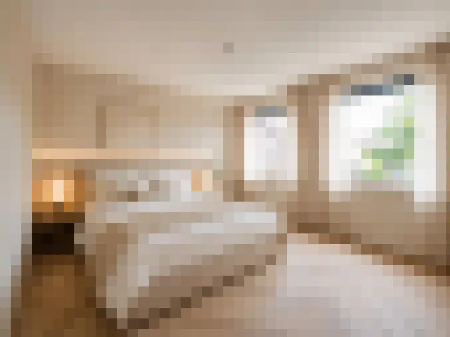 Molenstraat 14 Amerongen thumbnail 11