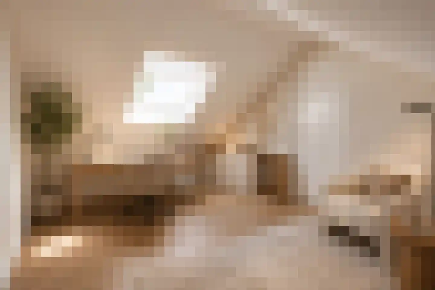 Molenstraat 14 Amerongen thumbnail 17