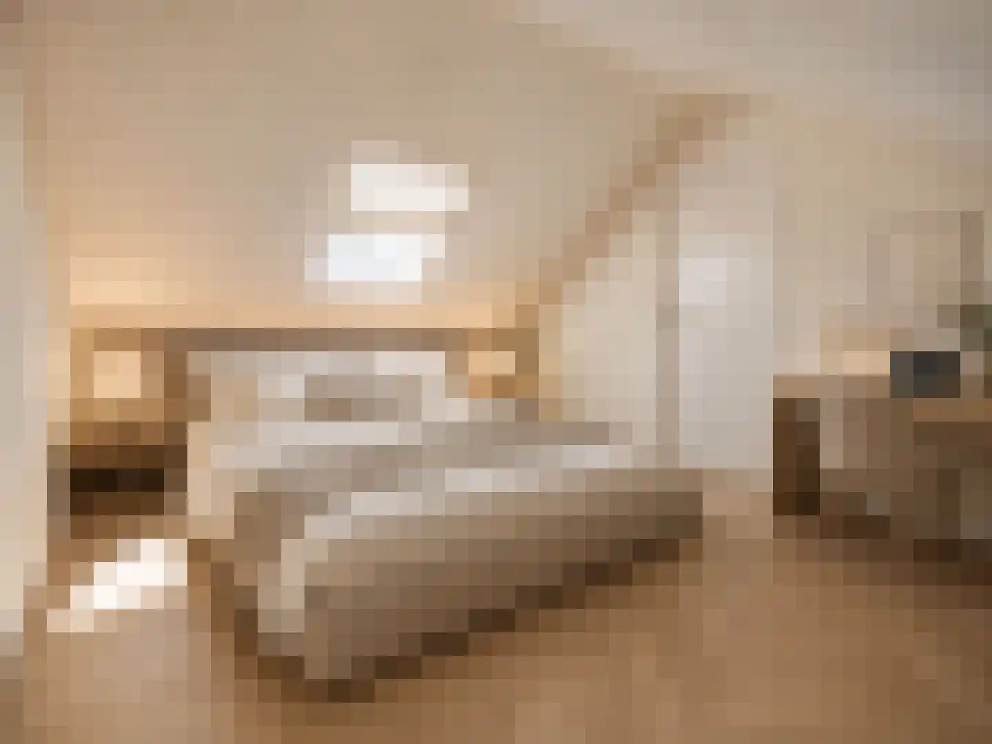 Molenstraat 14 Amerongen thumbnail 18