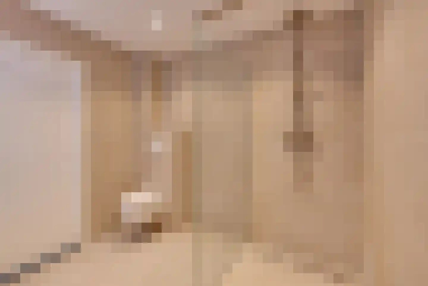 Molenstraat 14 Amerongen thumbnail 19