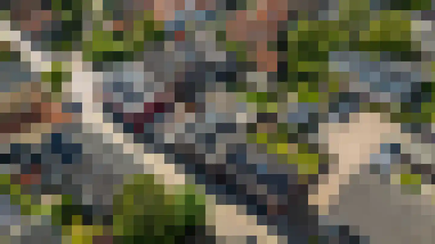 Molenstraat 14 Amerongen thumbnail 24